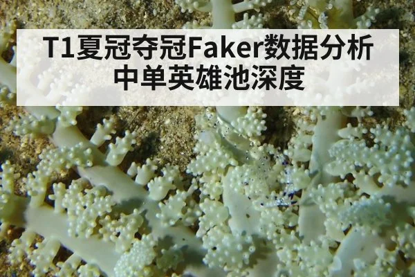 T1夏冠夺冠Faker数据分析中单英雄池深度
