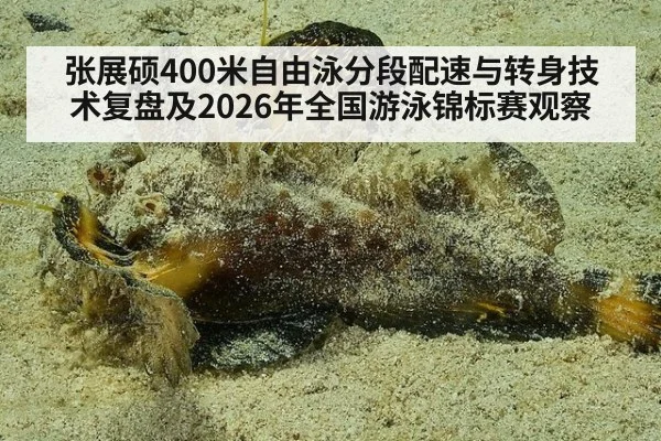 张展硕400米自由泳分段配速与转身技术复盘及2026年全国游泳锦标赛观察