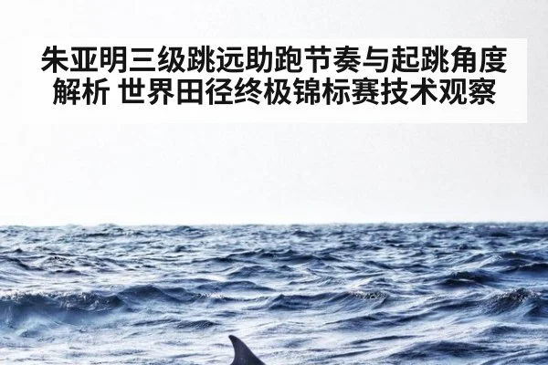 朱亚明三级跳远助跑节奏与起跳角度解析 世界田径终极锦标赛技术观察